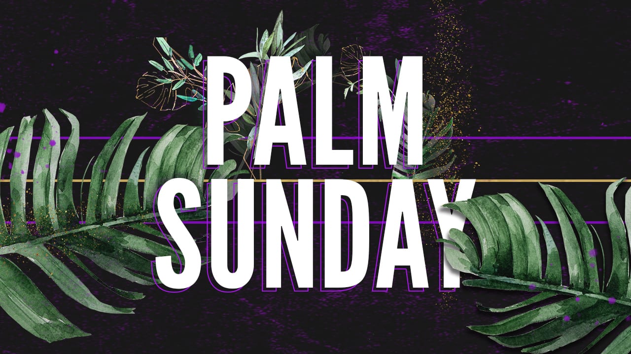 Palm sunday