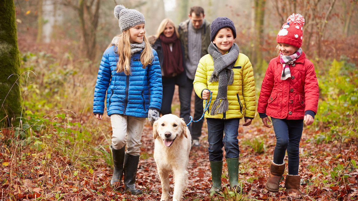 Children walking their dog in the woods in late fall with parents in the background.